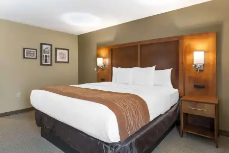 Comfort Inn North/Polaris - 31