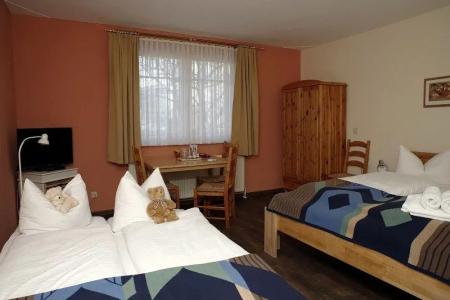 Hotel-Pension am Böhmepark - 1