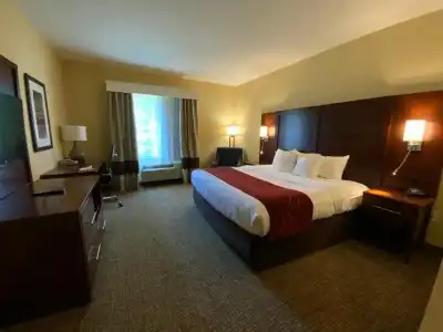 Comfort Suites Fredericksburg North - 40