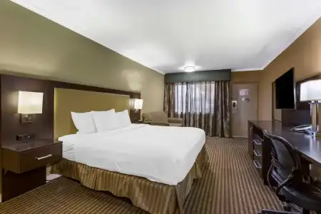 Royal Sun & Suites - 35