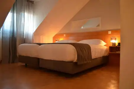 Hôtel des Alpes - 22