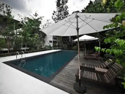 Tree House - 12