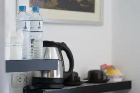 The BluEco - 46