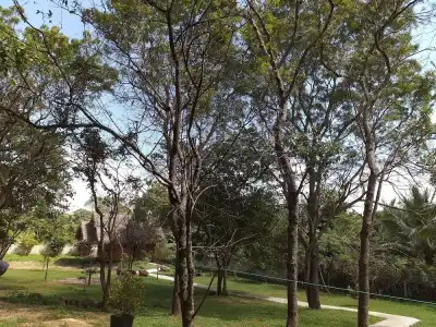 The Bell Farm Eco Resort - 9