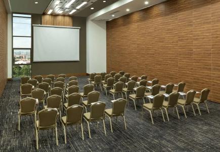 DoubleTree by Hilton Manisa - 13