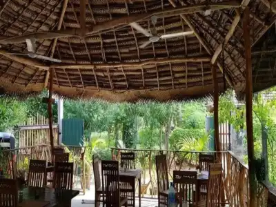 Turtle Paradise - 16
