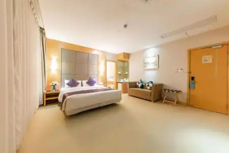 Dorsett Wuhan - 123