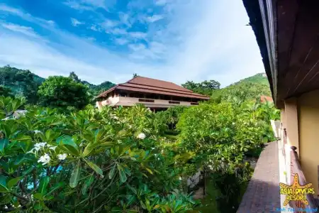Asia Divers Resort - 39