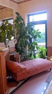 Verona for Rent la Veranda - 30