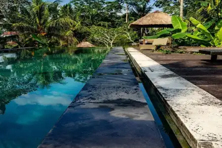 Ubud Sari Health Resort - 4