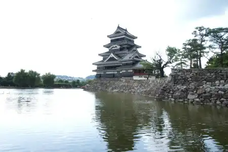 Trend Matsumoto - 12