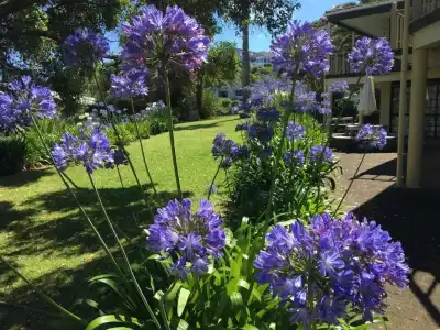 Half Moon Bay Motel - 77
