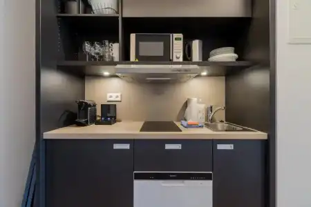 Homaris Kreuzberg 61 - 114