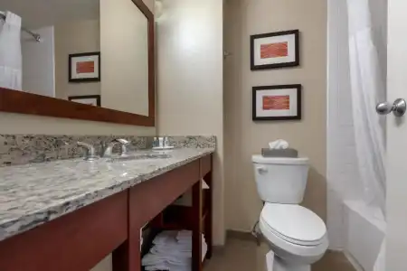 Comfort Inn The Pointe - 37