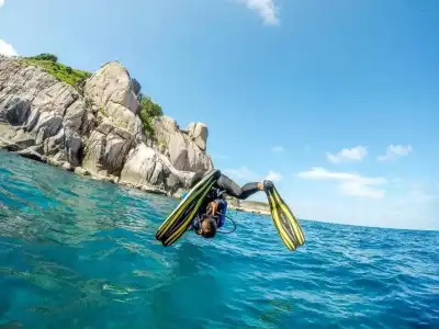 DPM Koh Tao Diving & Bar - 11