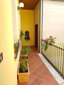 B&B Il Roma - 5