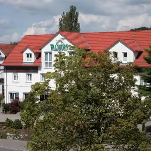 Restaurant Waldhorn - 4