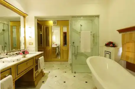 The Raj Palace - 65