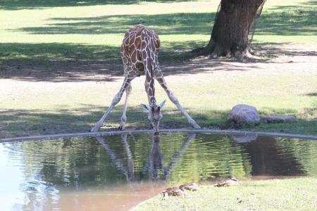 Super 8 by Wyndham Sioux Falls/41st Street - 20