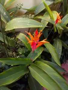 Lien Tho Guest House - 17