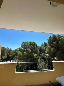 Cala dei Pini - 28