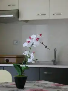 ApartVila Tufi - 13