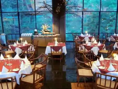 Heritance Kandalama - 33