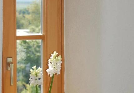 Landgasthof Zum Alten Gut - 6