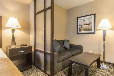 Comfort Suites Downtown - 37