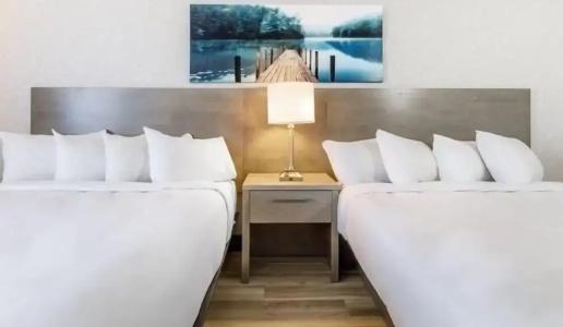 Repotel Levis - 24