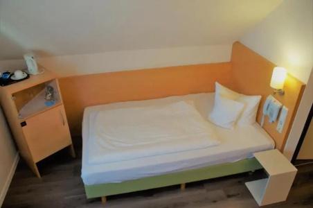 Hotel-Restaurant Zum Schwanen - 42