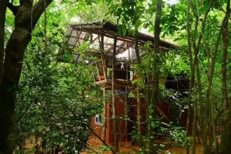 Back of Beyond - Pidurangala - 48