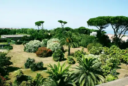Parco dei Principi - 39