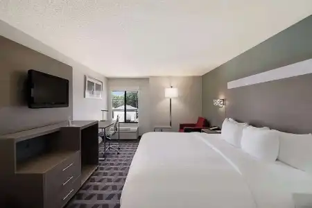 Quality Inn & Suites Irving DFW Airport South - 48