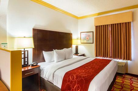 Quality Suites Lubbock Southwest - 5