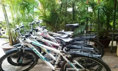 Cat's Hostel - 18