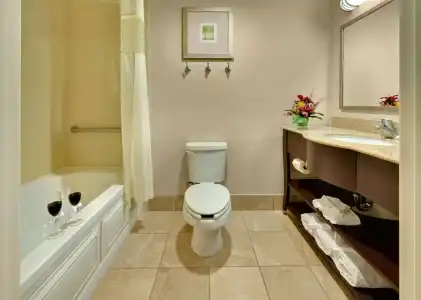 Hampton Inn & Suites Reno - 30