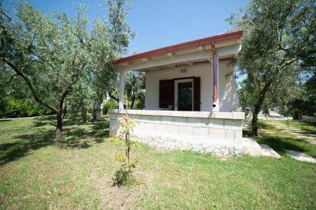 I Sapori del Gargano - 97