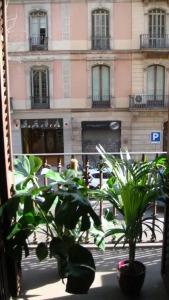 Soul Backpackers - 50