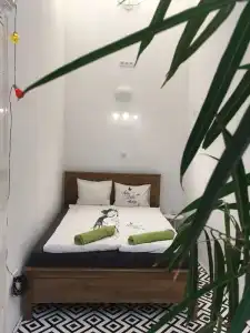 Gaia Astoria - 20