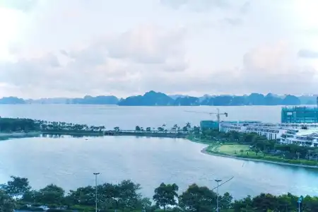 Ocean Dragon - 8