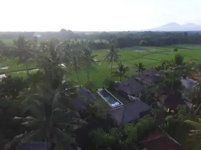 Lodtunduh Sari - 26