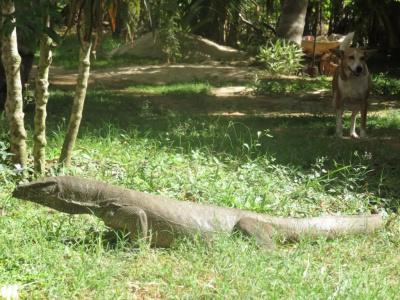 Beach Lagoon Guesthouse - 29