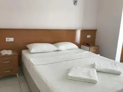 Cam - 120