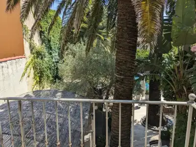 Pastis Saint-Tropez - 42