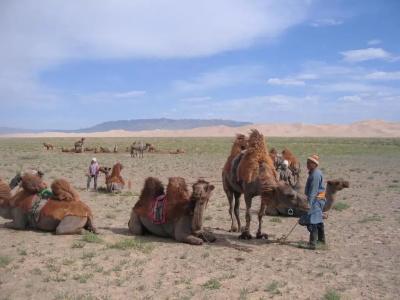 UB Guesthouse & Tours - Not for Locals - 4