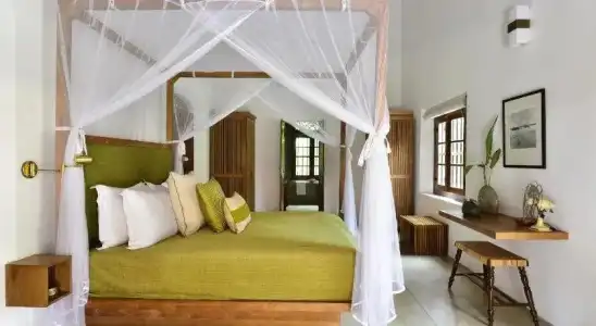Maya Tangalle Luxury Wellness Manor - 4
