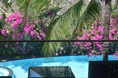 Sunsea Resort - 11