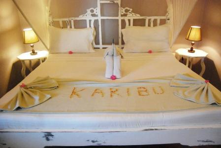 Sahari Zanzibar - 49