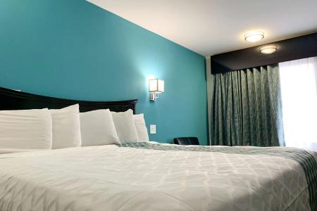 Comfort Inn & Suites Nashville Downtown – Stadium - 30